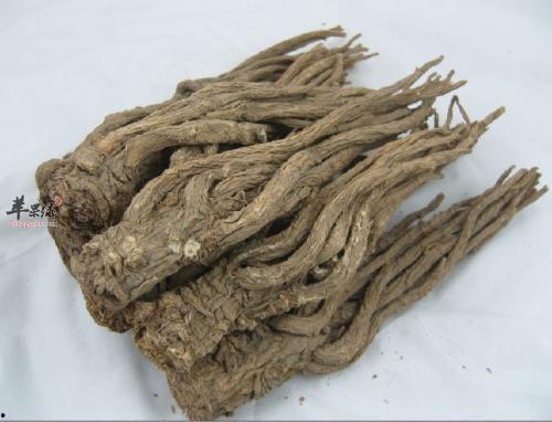 鸾凤当归,归心似箭——探寻爱情与归途的传奇故事